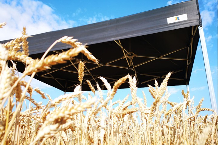 Foișor pliabil București